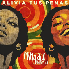 Mingaco Orchestra - Alivia tus penas