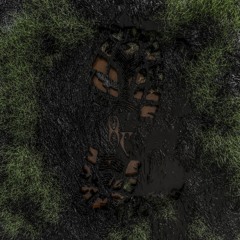 Near the acid forest