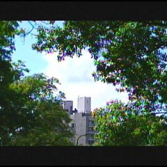yabujin 302? sample remake