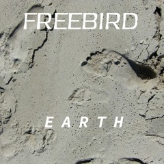FreeBird - Earth (free dl)