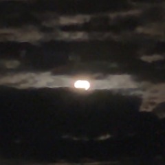 green ahh jit (beam ahh)