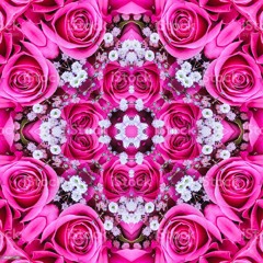 LIL XAN- PINK ROSES (BRVND NVME'S SYNTHWAVE EDITION) V1