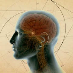 Through Your Looking Glass - WIP unfinished