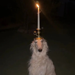 HalloweenJunky the fourth