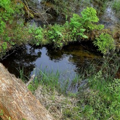 Waaa aa laa a fine place