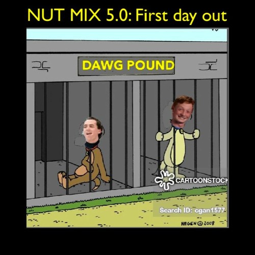 Nut Mix 5.0