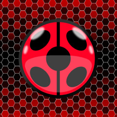 Ladybug Transformation! || • 🐞