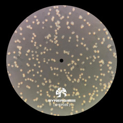OSM PREMIERE: Iceworld - Refer [SYEP035]