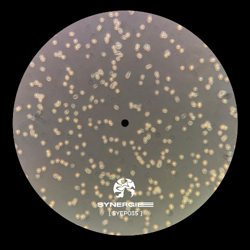 OSM PREMIERE: Iceworld - Refer [SYEP035]