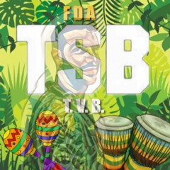 TSB T.V.B. - Tribal Latin House session - Summer 2022