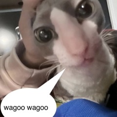 wagoo wagoo
