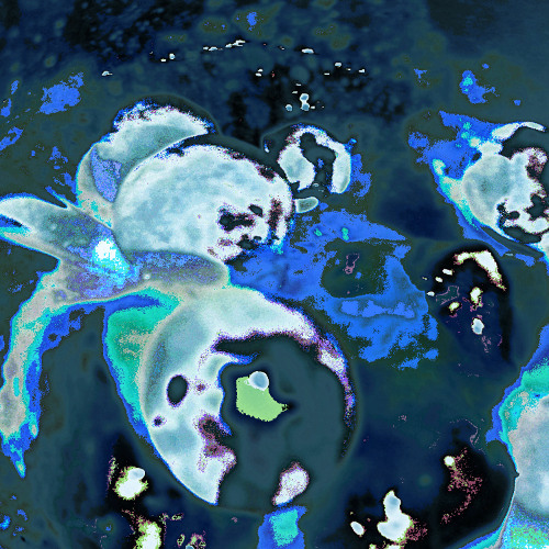 Panthalassa