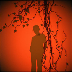 Crimson Veins