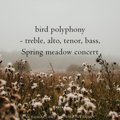 Spring birds concert (naviarhaiku495)