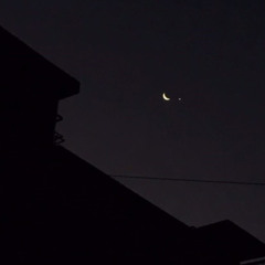 bdo-moonlight (w.TETENG)