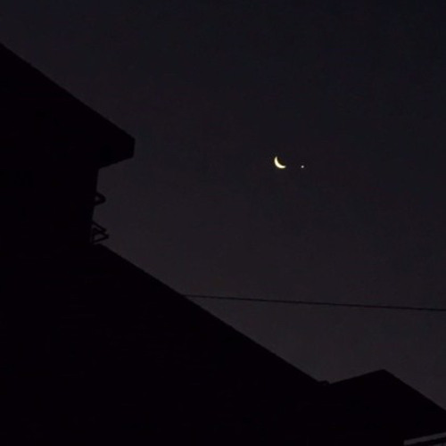 bdo-moonlight (w.TETENG)