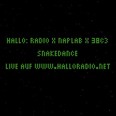 2.2. Snakedance_@38C3_x_NapLab_28122024