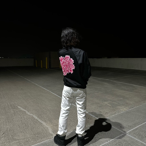 CANT FEEL MY FACE- DELPH