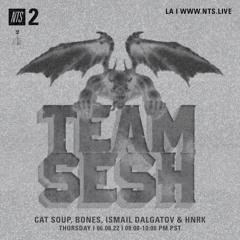 TeamSESH NTS 9th June 2022: Bones, Ismail Dalgatov, cat soup, & hnrk