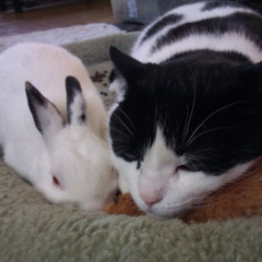 i just keep bleeding.