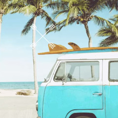 Summer Vibes