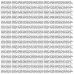 Spring Goose - The curious zebra