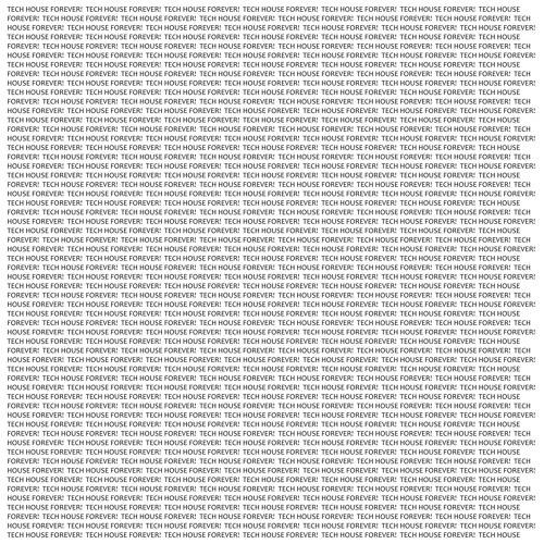 Spring Goose - The curious zebra