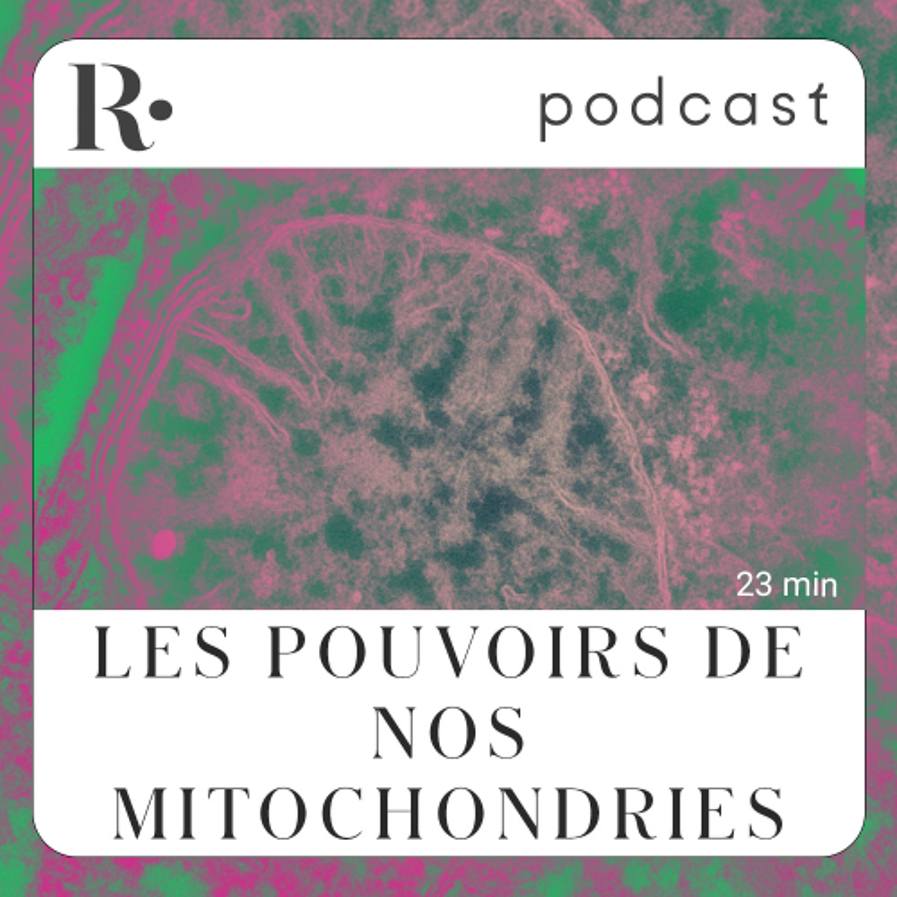 Les pouvoirs de nos mitochondries - Pr Vincent Castronovo