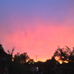 THE WORLD IS BURNING