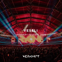 Veseli @ Verknipt Festival 2024 Day 2 | Strijkviertelplas, Utrecht
