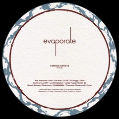 Evaporate Various Artists 005 [ZFVA005]