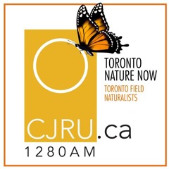 Toronto Nature Now Ep. 172: Ghost Kitchens and Food Justice