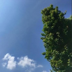 Cloud Gazing