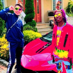FLAMINGO SWAG🦩🦩 w/ moli2k