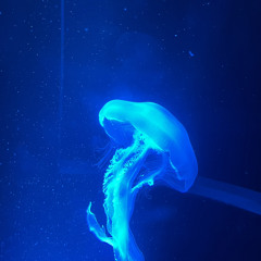 魔法はそのまんま