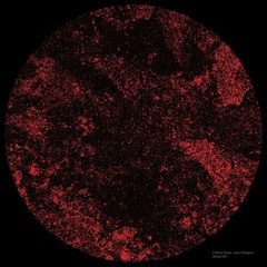 [BANDCAMP EXCLUSIVE] Franco Rossi,Juan Dhalgren - Boreal I