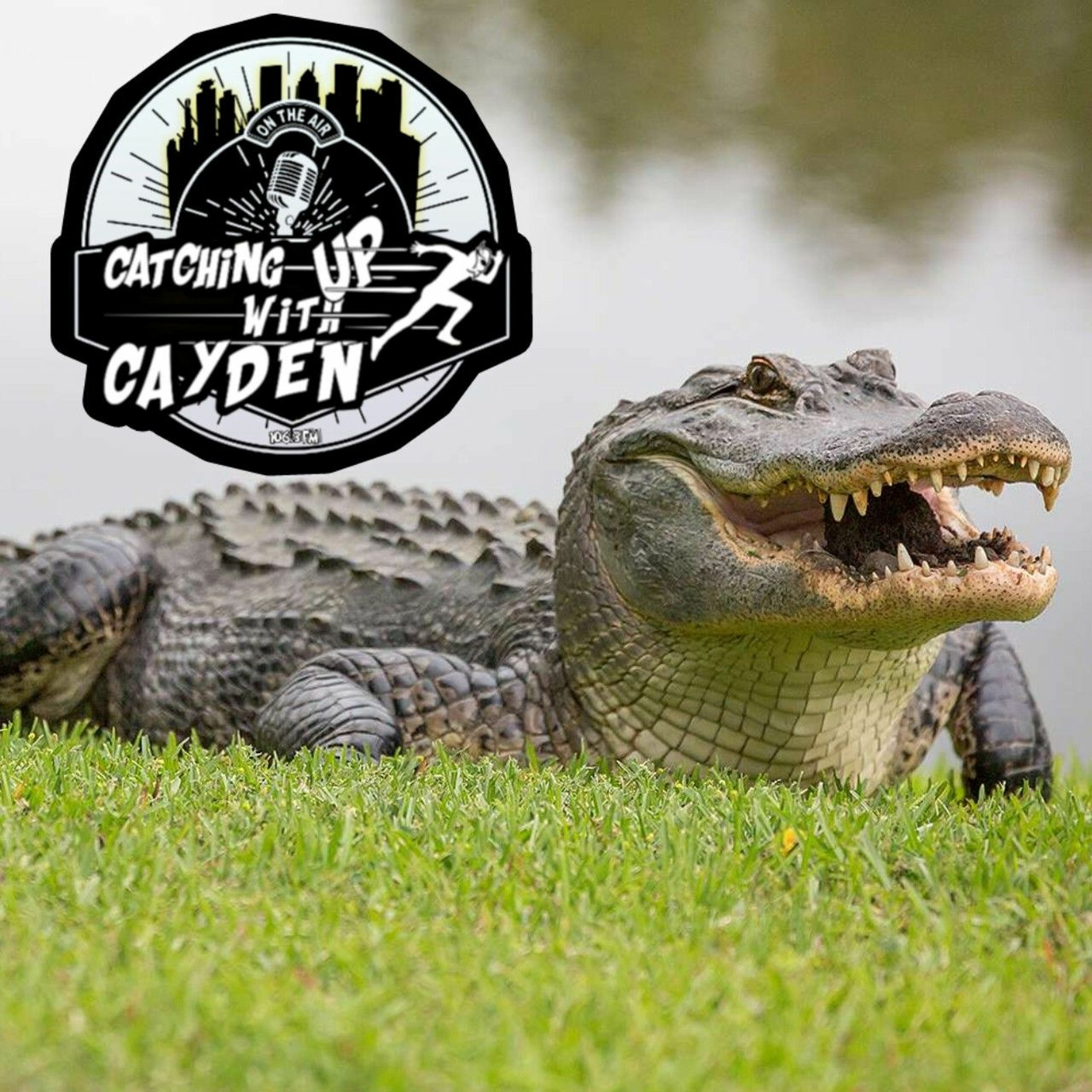 Cayden\'s Corner