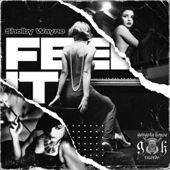 Shelby Wayne - Feel It