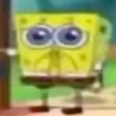 hanging off a branch cover