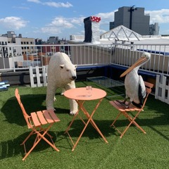 Grounded Grooves : 001