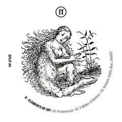 Elements Of Joy | Stave - Split #4 [PEVA10 | Full Tracks]