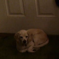 good night 2 all! (Boiler Room Beat 5 Demo) [Extended] - randomblackdude