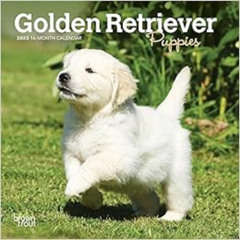 free PDF 📒 Golden Retriever Puppies | 2023 7 x 14 Inch Monthly Mini Wall Calendar |