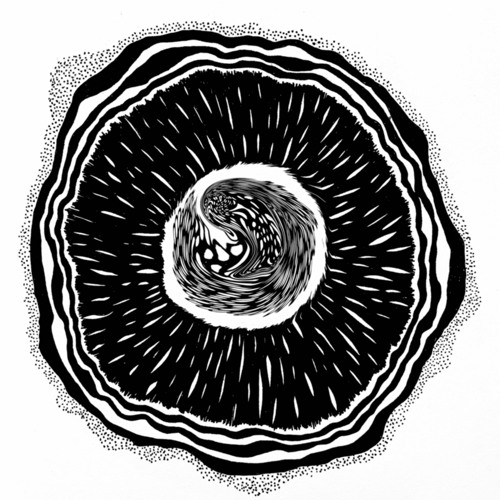 PREMIERE - Lunatic Wonderer - Effortless Understanding (Eastern Standard)