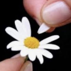 Loves_Me_Loves_Me_Not