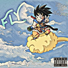 Fly