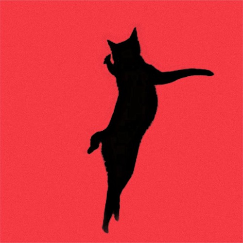 Cat In The Attic Step Into Summer 2020