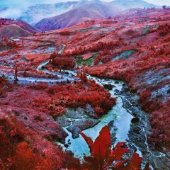 (thugsoftly) life i lived