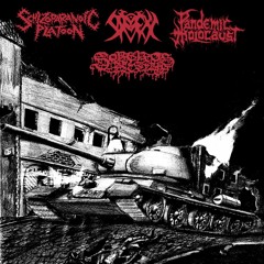 永闇ノ荒廃 - Perpetual Darkness Of Desolation