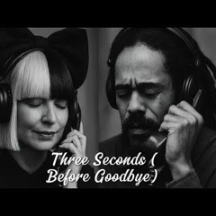 Sia ft. Damian Marley – Three Seconds (Before Goodbye)